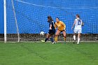 WSoccer vs Brandeis  Wheaton College Women's Soccer vs Brandeis College. - Photo By: KEITH NORDSTROM : Wheaton, women's soccer